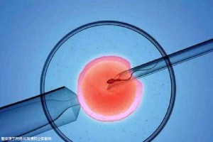 三代供卵试管平台生殖医学中心
